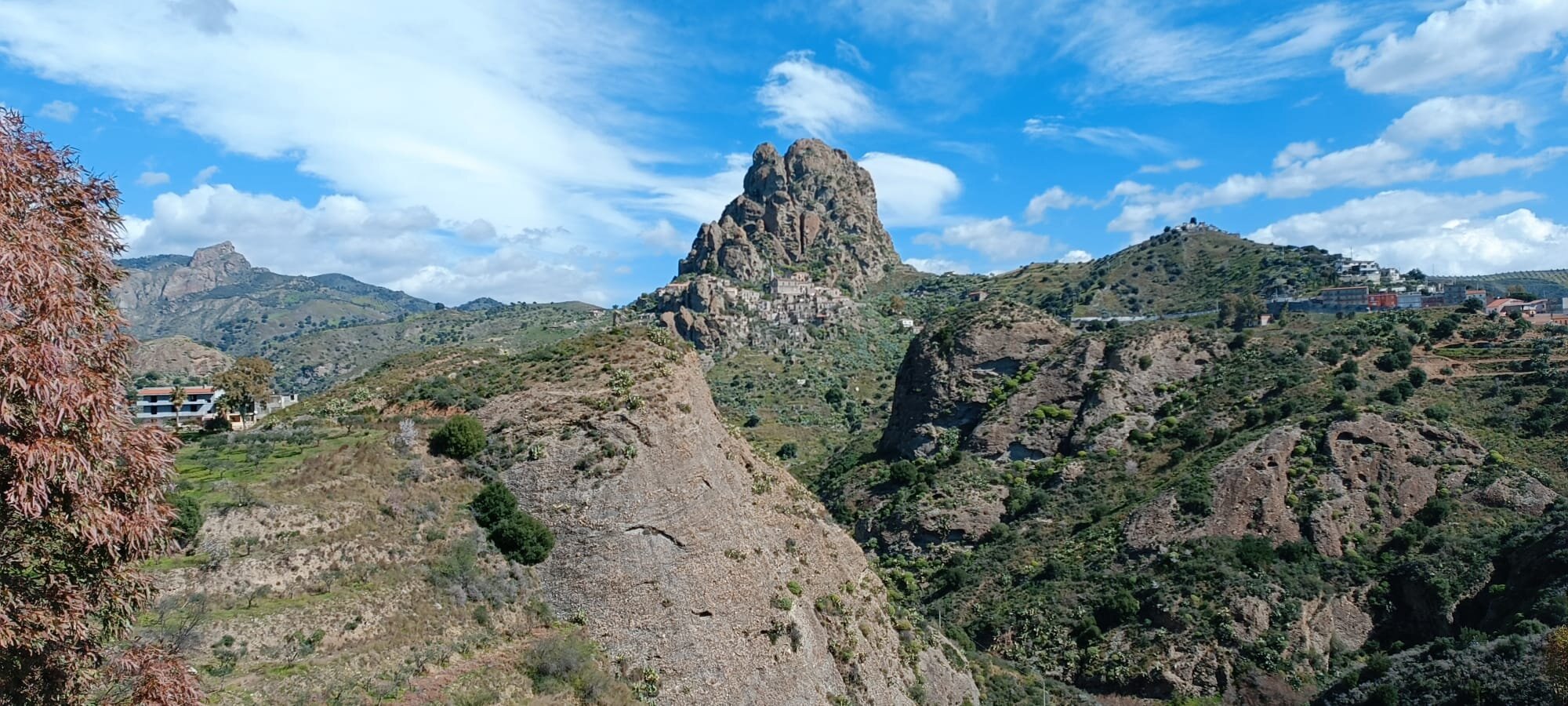 7996fc88-5932-4262-934b-25ef04e51762.jpg 7996fc88-5932-4262-934b-25ef04e51762.jpg