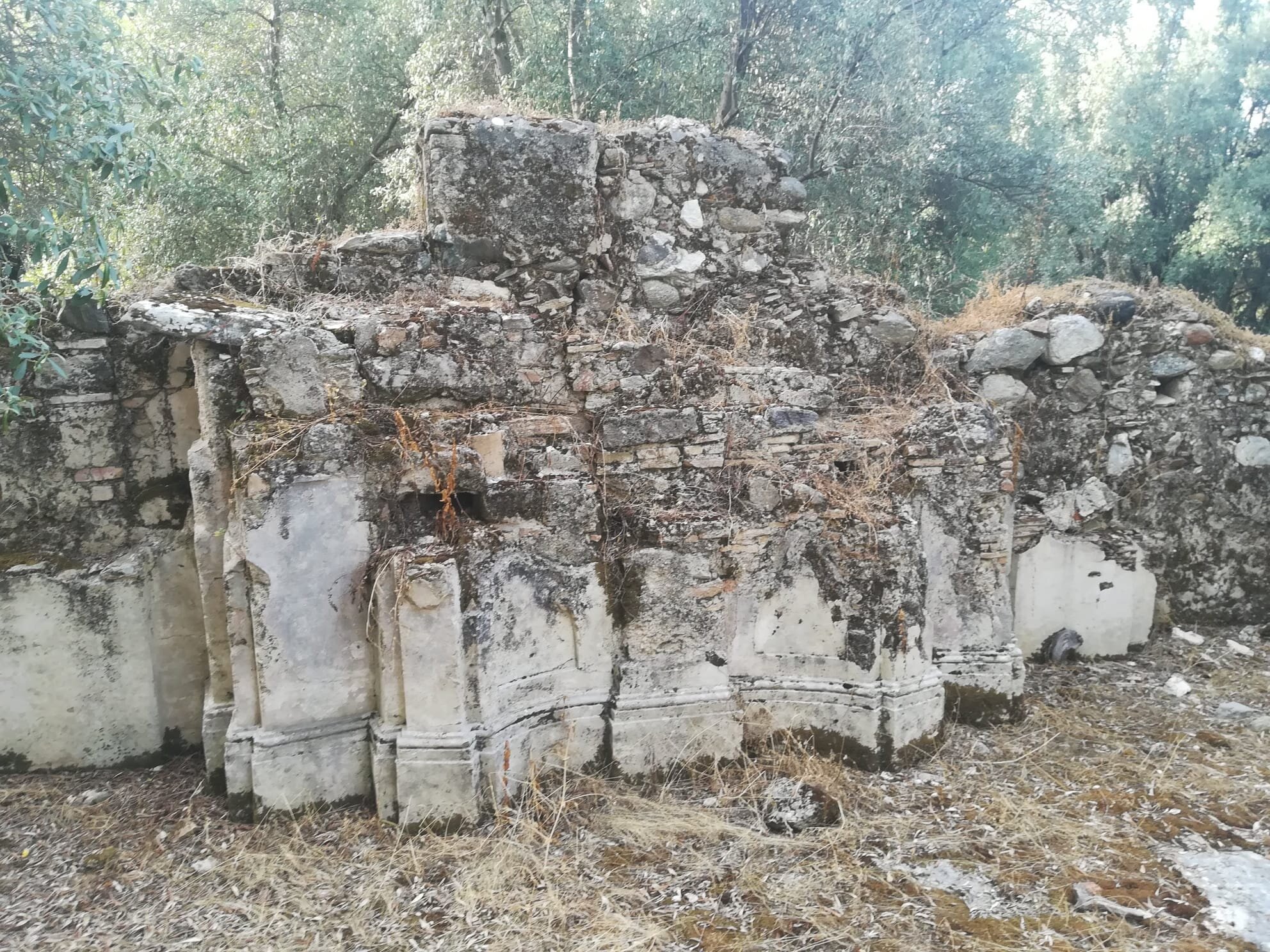 0a8d0c61-773b-4b26-be74-e90082dca52e.jpg 0a8d0c61-773b-4b26-be74-e90082dca52e.jpg