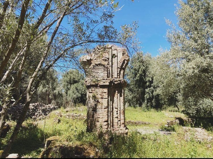 cd0c40bd-7371-43c9-ac48-10fe66483938.jpg cd0c40bd-7371-43c9-ac48-10fe66483938.jpg