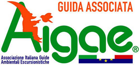 f760b55b-2c1d-4f00-9d46-4e4bd3f692fc