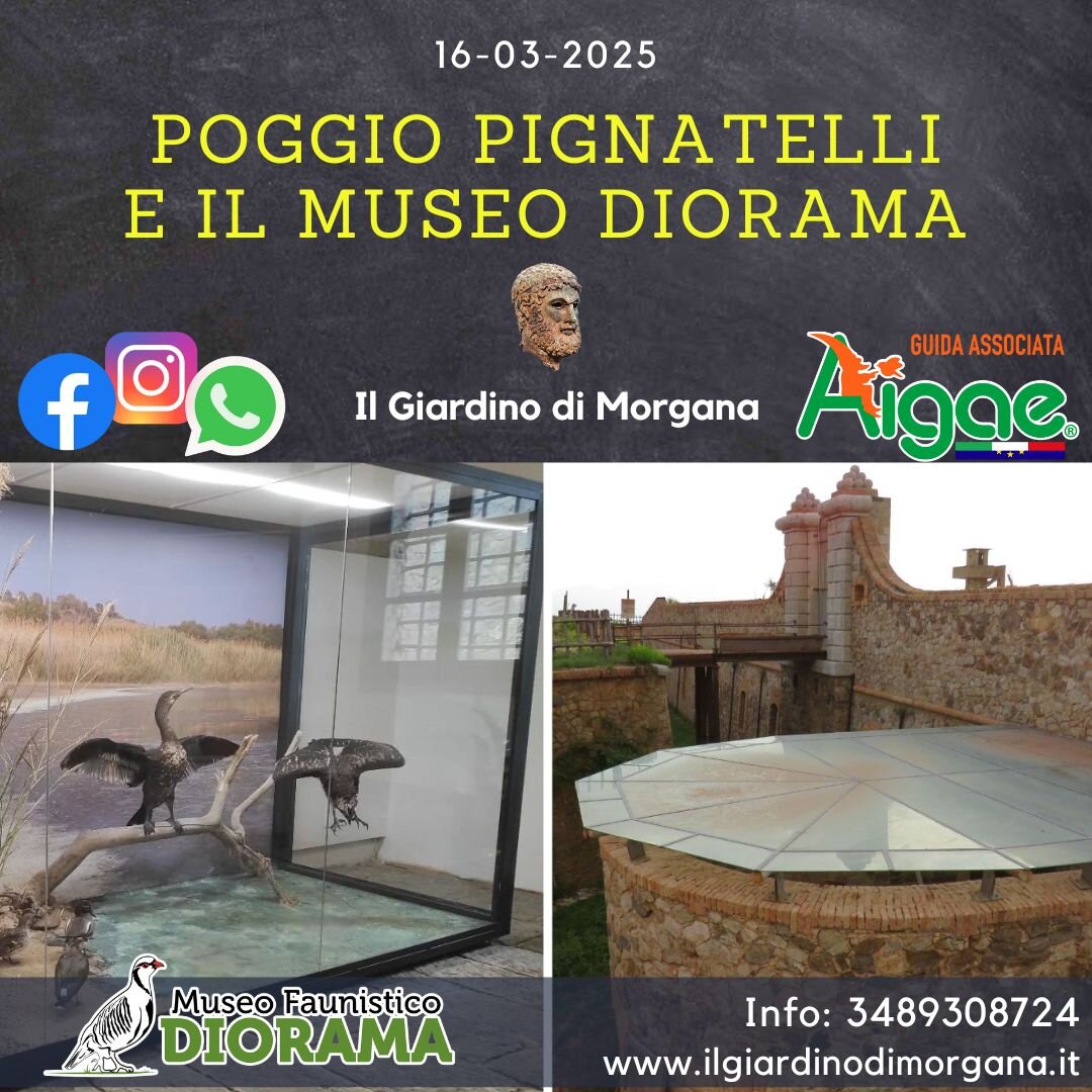 Poggio Pignatelli e Museo Faunistico Diorama Poggio Pignatelli e Museo Faunistico Diorama