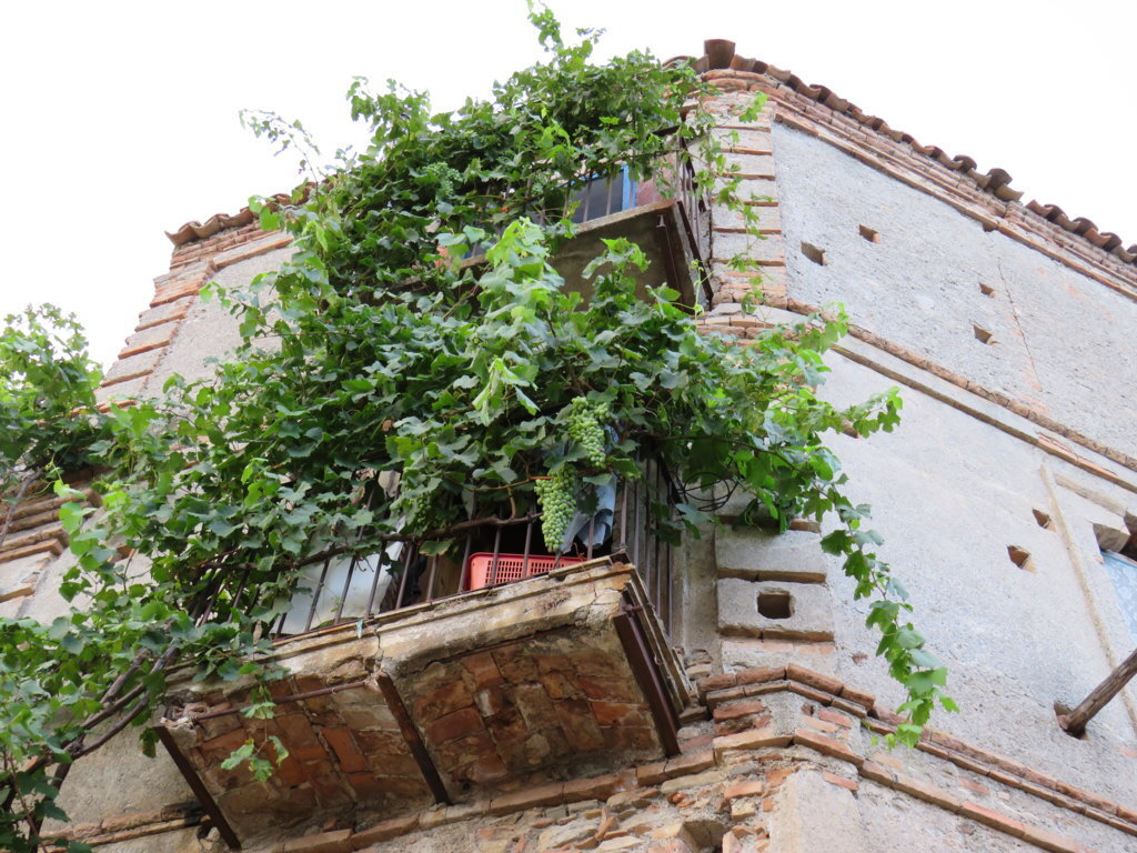 17aa3363-5397-41ae-b1a2-690d15bb0d96.jpg 17aa3363-5397-41ae-b1a2-690d15bb0d96.jpg