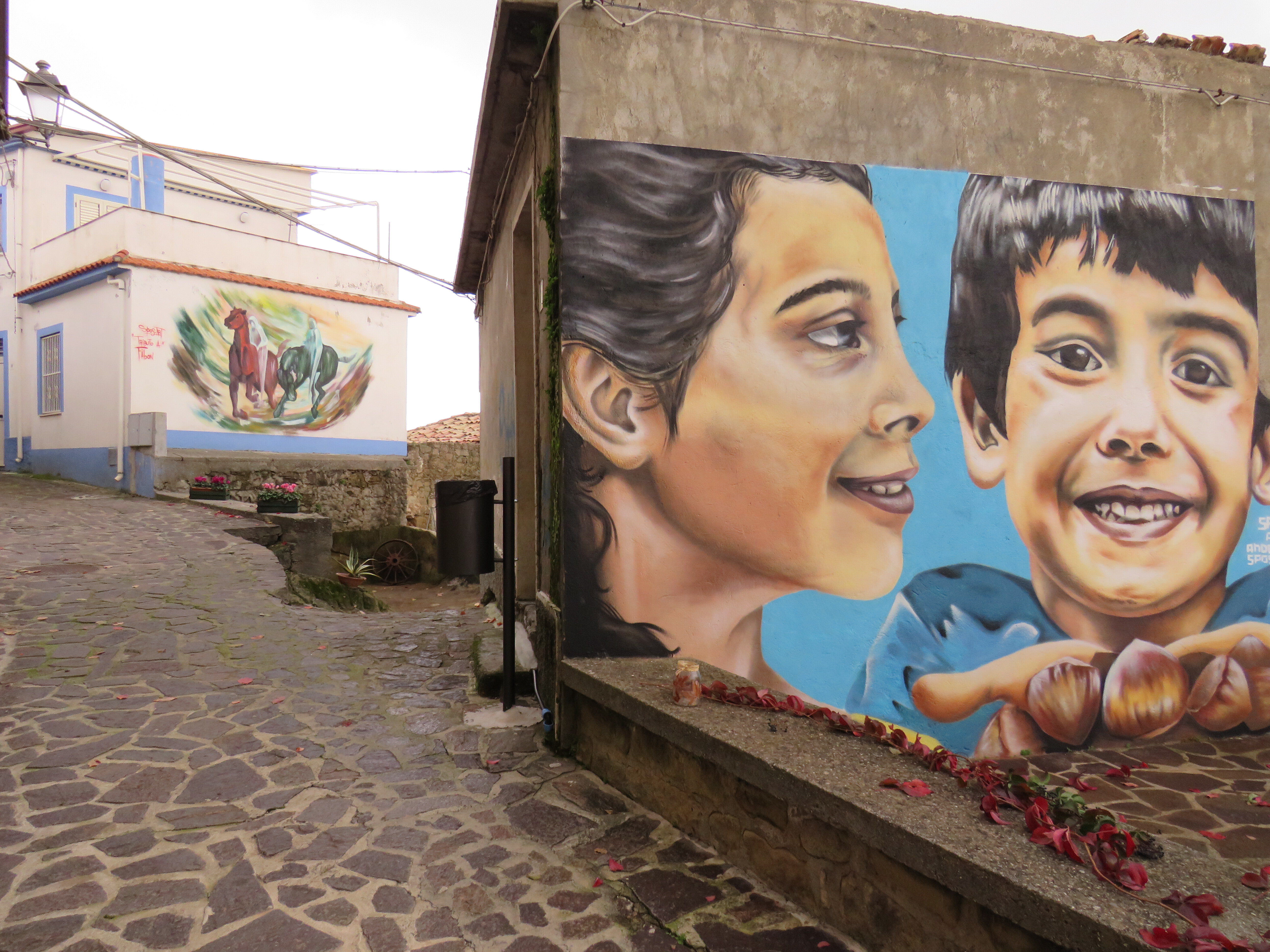 07ca2907-4938-45a1-813d-8b56131dae17.jpg 07ca2907-4938-45a1-813d-8b56131dae17.jpg