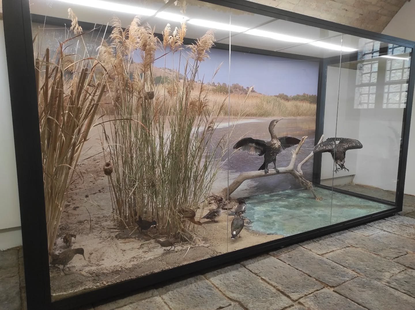 5809b38c-033b-42db-87ea-cb6291e50da8.jpg 5809b38c-033b-42db-87ea-cb6291e50da8.jpg