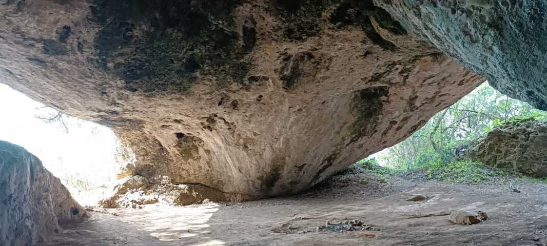 95f32f66-a405-4d04-8304-aef6ac426768.jpg 95f32f66-a405-4d04-8304-aef6ac426768.jpg