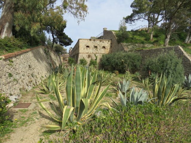 a813738b-e934-489f-a7a1-67035d519ad0.jpg a813738b-e934-489f-a7a1-67035d519ad0.jpg