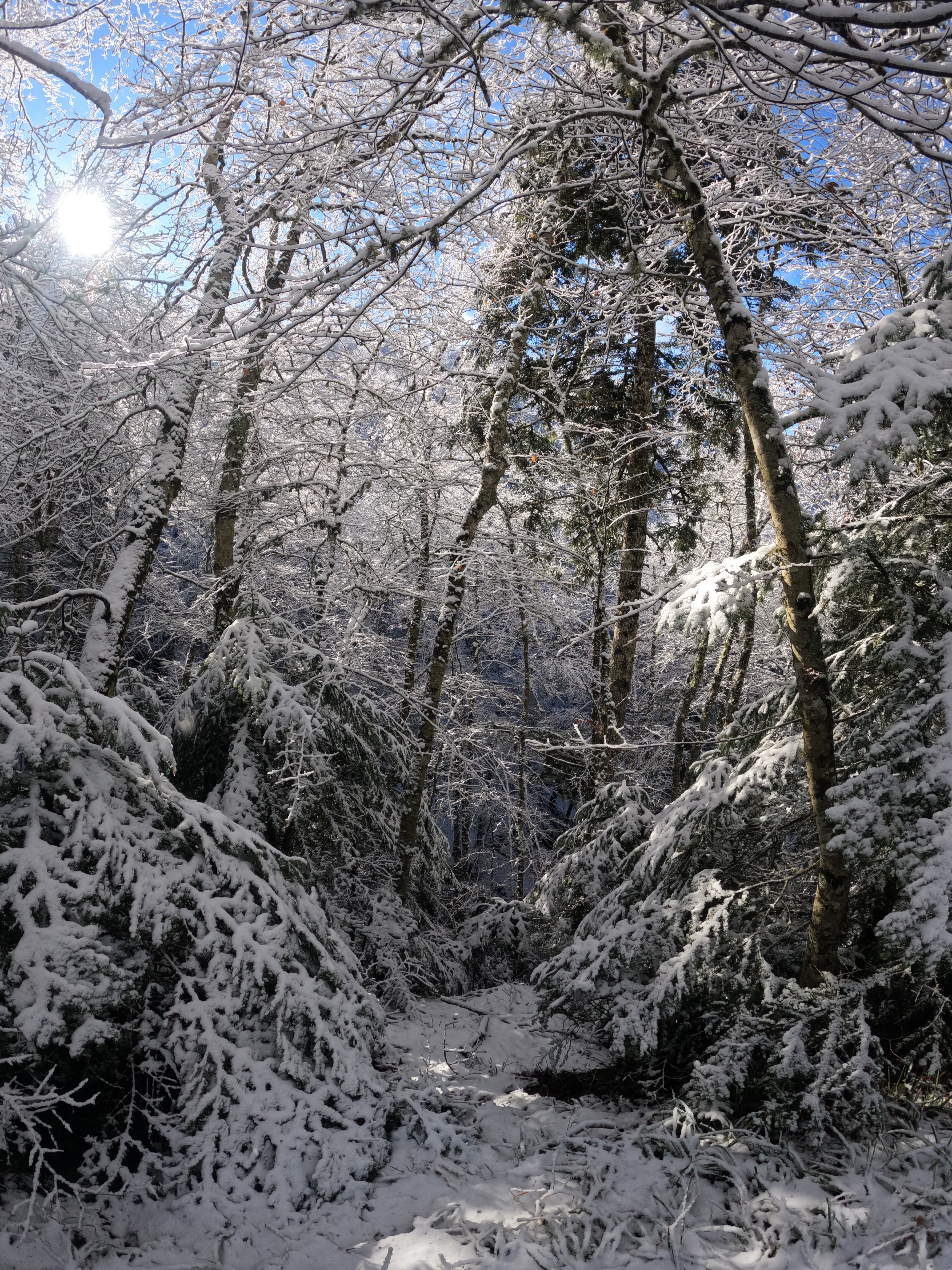 aspromonte-neve.jpeg aspromonte-neve.jpeg