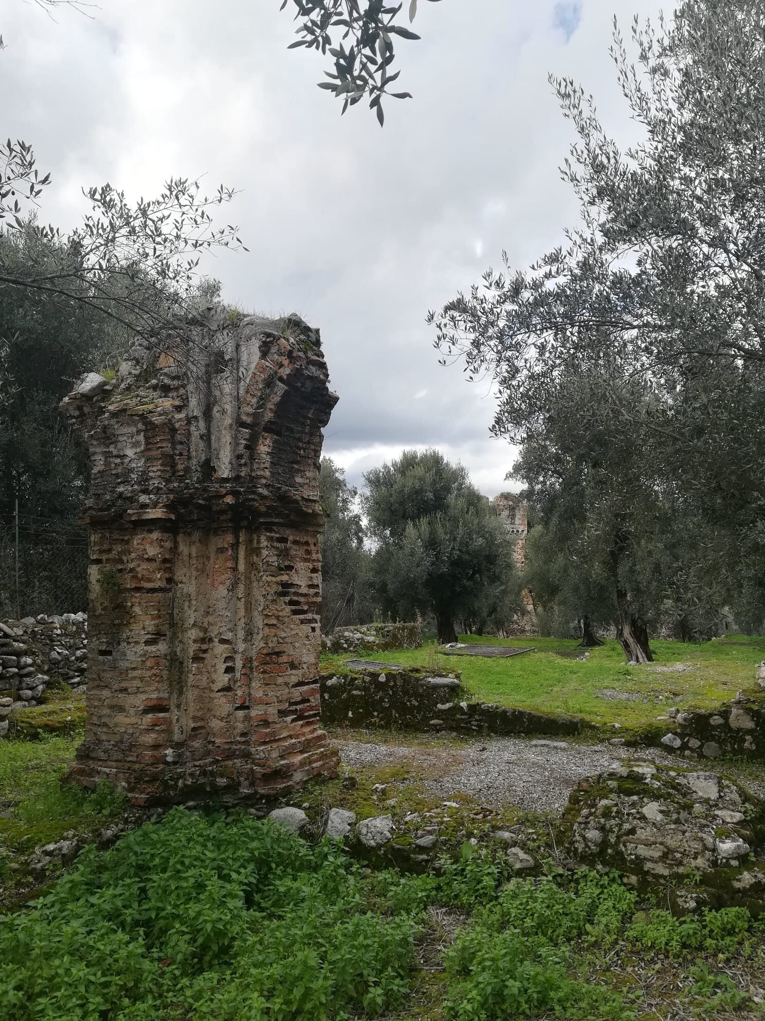 63624129-d10c-4082-9a12-3531ea20b999.jpg 63624129-d10c-4082-9a12-3531ea20b999.jpg