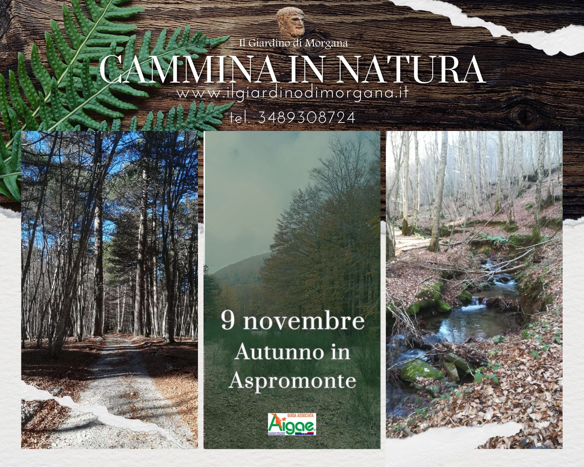 Autunno in Aspromonte