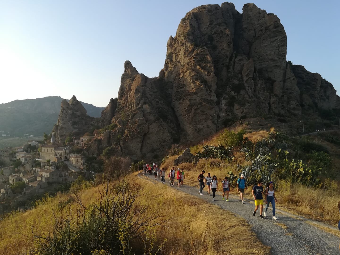 2db81d8e-96e4-489d-bfdd-54679a676d11.jpg 2db81d8e-96e4-489d-bfdd-54679a676d11.jpg