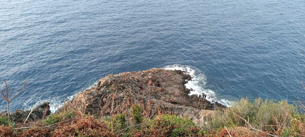 7cc4435b-2841-4711-a656-300bc1c3ffd3.jpg 7cc4435b-2841-4711-a656-300bc1c3ffd3.jpg