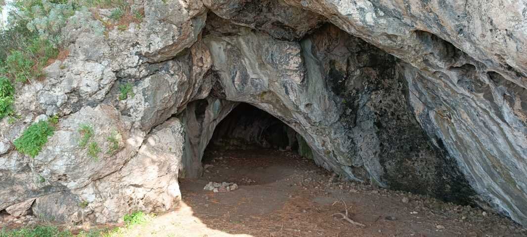 177a269e-bf91-4d9e-b48d-86f1ffe8aa06.jpg 177a269e-bf91-4d9e-b48d-86f1ffe8aa06.jpg