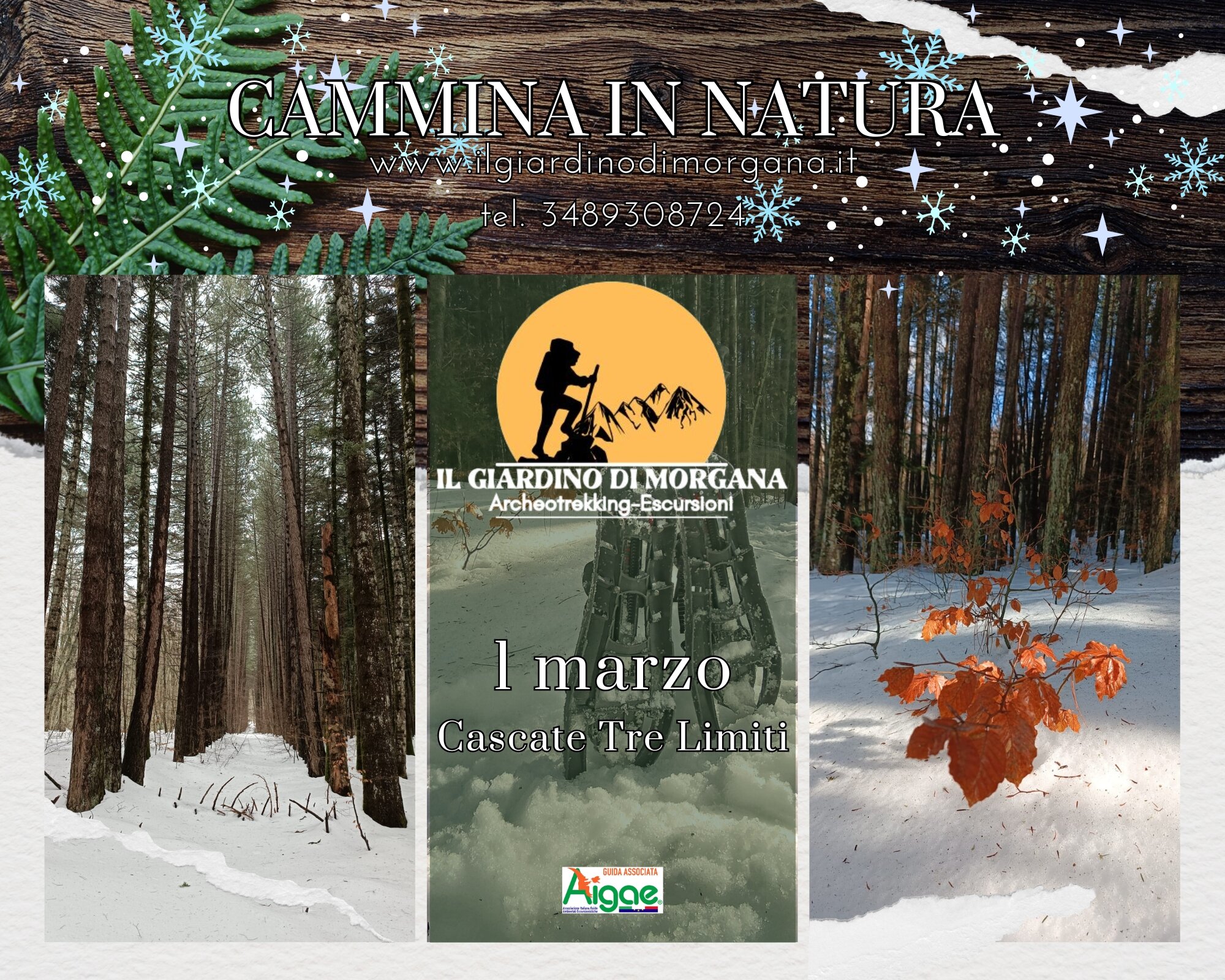 I boschi innevati d'Aspromonte I boschi innevati d'Aspromonte