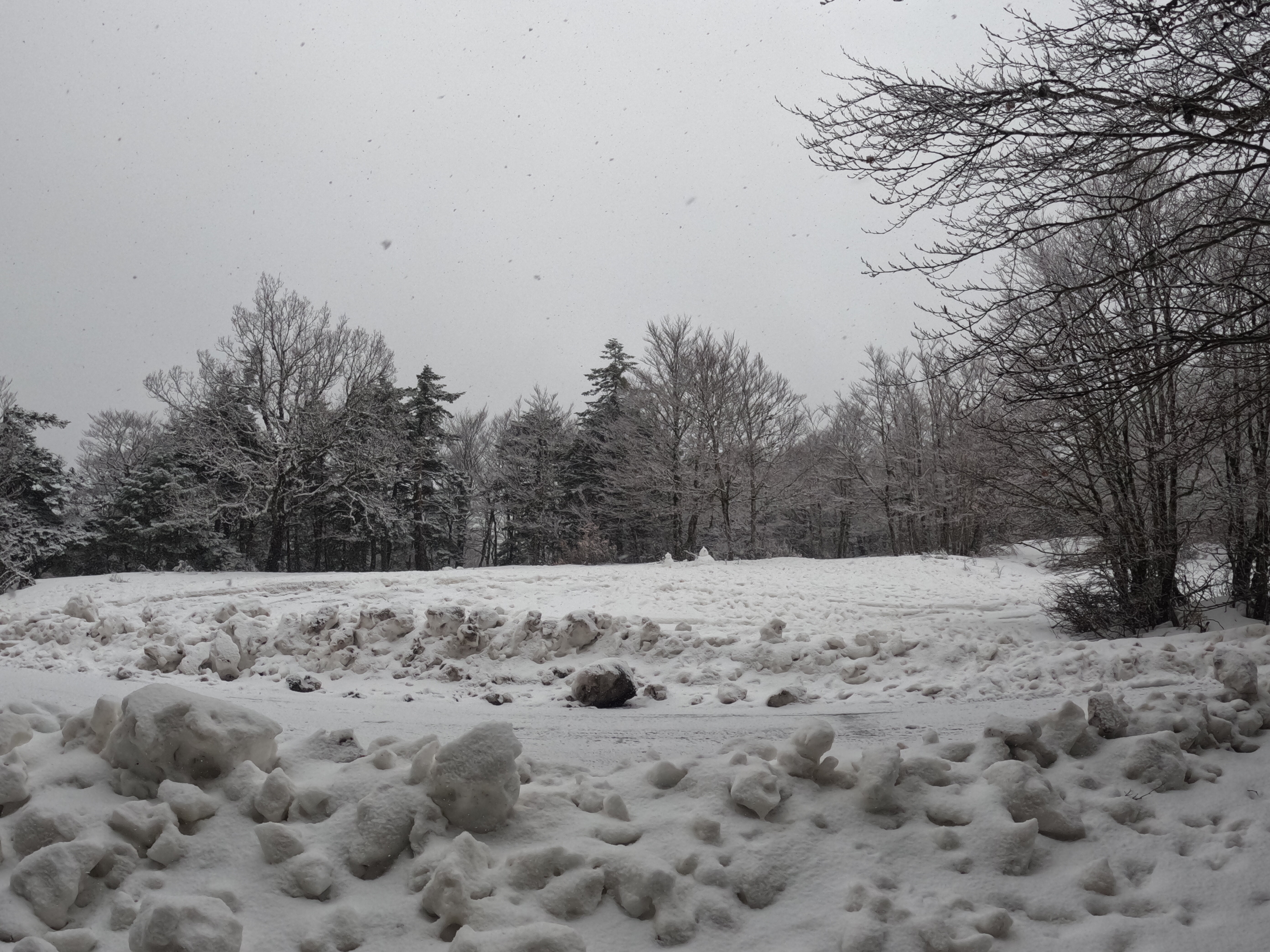 neve-in-aspromonte.jpeg neve-in-aspromonte.jpeg