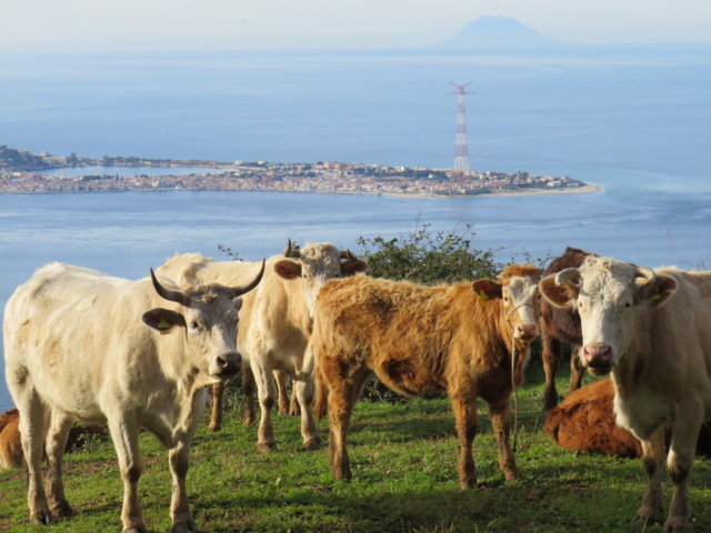 1d7d7638-430a-499e-acab-5074319babe2.jpg 1d7d7638-430a-499e-acab-5074319babe2.jpg