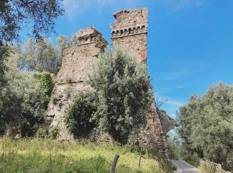 18b9a695-a59e-4397-a7d0-3f6859b38e53.jpg 18b9a695-a59e-4397-a7d0-3f6859b38e53.jpg