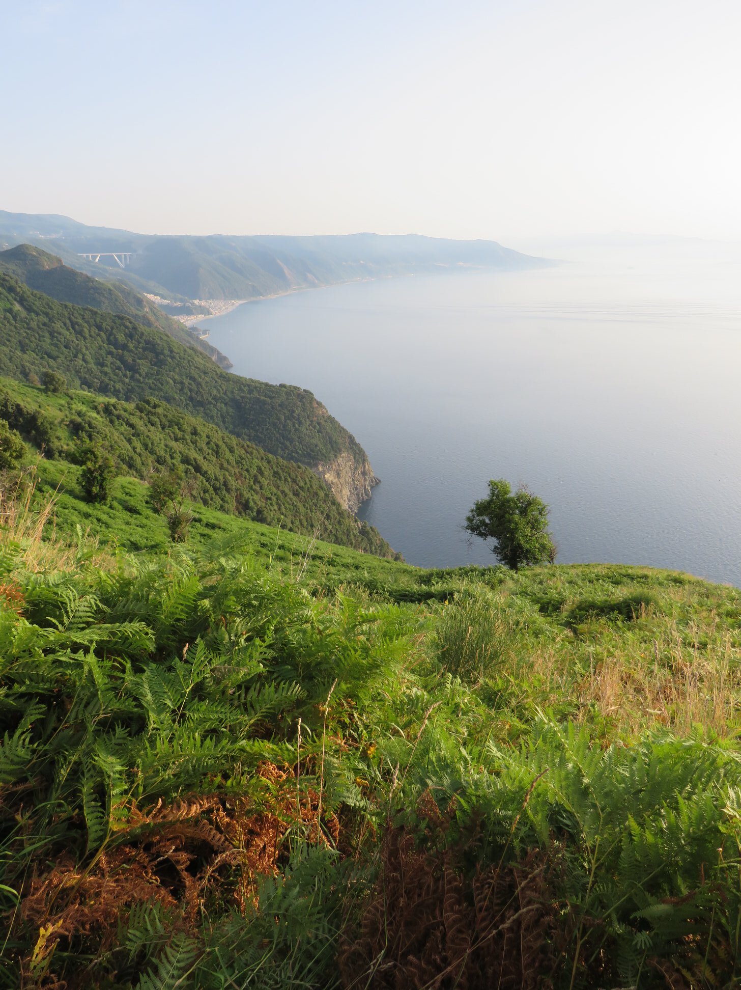 tracciolino.jpg tracciolino.jpg