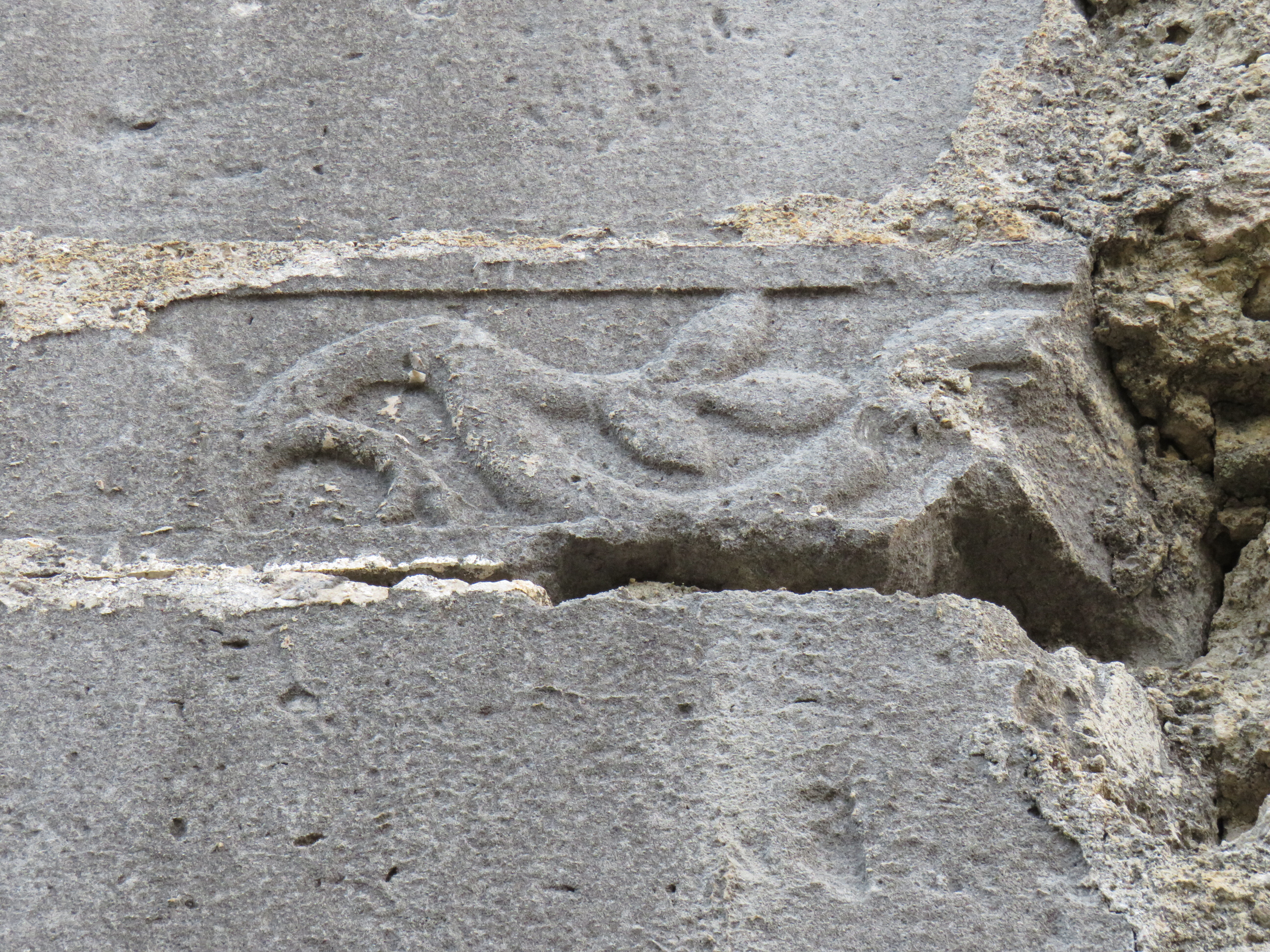 11a964c2-55c1-404f-89ae-f112e8a27e00.jpg 11a964c2-55c1-404f-89ae-f112e8a27e00.jpg