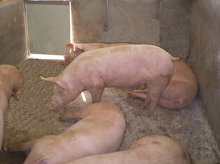 66d648e1-bfac-473c-89c1-42a42967743e