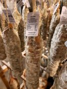 42e299e5-415c-4a7d-b595-8f5426dbcd3a