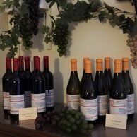 VINI GUTTURNIO E ORTRUGO DOC