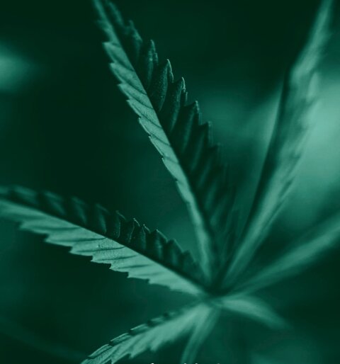 9157f21f-5110-4ff7-95ff-20e565c8a811