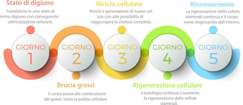 9218e4e9-42c8-4f44-8e2b-885d7603d48e