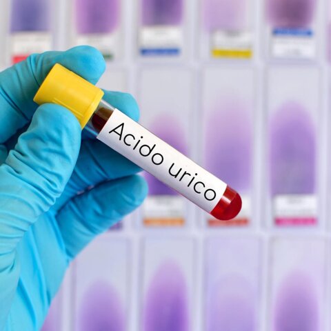 e9cffbe8-1745-4a21-8f97-0a21877972bb