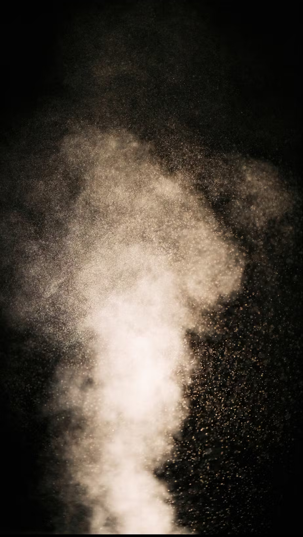 ecca3d11-775d-459f-9f4c-9e3031823fc3