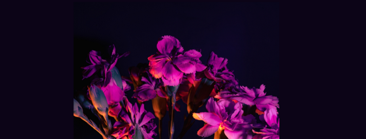 ba9d99a1-9473-40ad-ac1f-2e66b01405b4