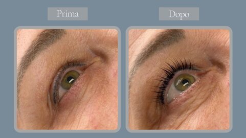 c0e92778-1689-440b-acc9-8c37f407fae8