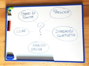 bae5704d-2129-459a-9924-dc3b5e7d7a00