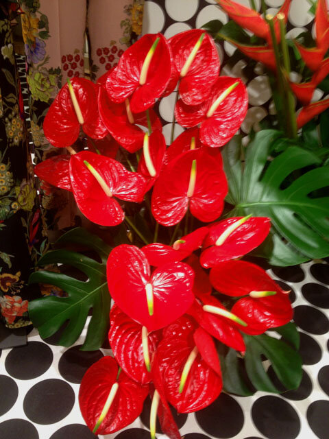 Siamo su Vogue!! O meglio i nostri fiori Siamo su Vogue!! O meglio i nostri fiori