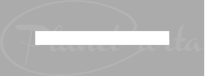 logo_planetcarta_300x111
