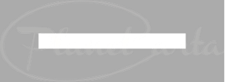 logo_planetcarta_300x111