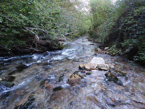 14519692_681278655382364_8849851956949319127_n 14519692_681278655382364_8849851956949319127_n