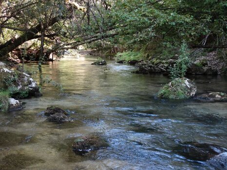 14440664_681275178716045_4009169053734336058_n 14440664_681275178716045_4009169053734336058_n