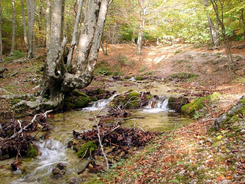 sorgenti__aniene_autunno