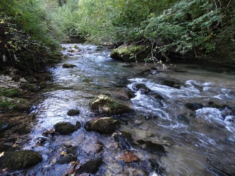 14484838_681278505382379_7689067412682199179_n 14484838_681278505382379_7689067412682199179_n