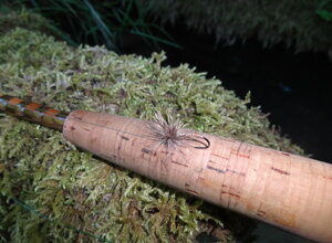 dsc04952.jpeg dsc04952.jpeg