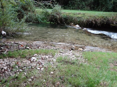 14390722_679282225582007_7901886872358079139_n 14390722_679282225582007_7901886872358079139_n