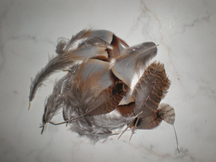 soft_hackle