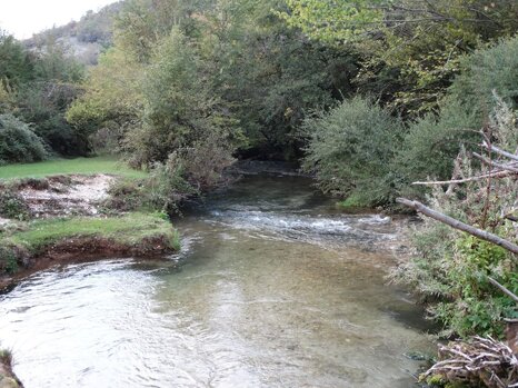 14495240_679283802248516_733159450210199051_n 14495240_679283802248516_733159450210199051_n