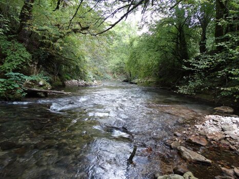 14264822_672344632942433_6429310600149423239_n 14264822_672344632942433_6429310600149423239_n