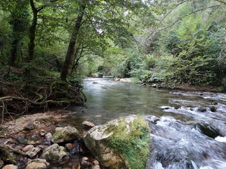 14232619_672343829609180_38767540077946524_n 14232619_672343829609180_38767540077946524_n