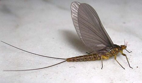 e9746c1d-72e4-41c2-a266-fc1d9b1d23fa e9746c1d-72e4-41c2-a266-fc1d9b1d23fa