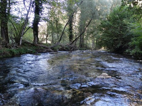 14523004_681278422049054_1875690078297447713_n 14523004_681278422049054_1875690078297447713_n