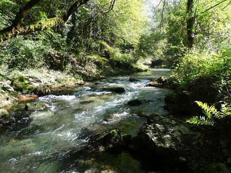 14519794_681276982049198_9031226338910518600_n 14519794_681276982049198_9031226338910518600_n