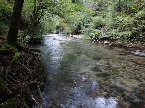 14344925_672344522942444_1392040274202186669_n 14344925_672344522942444_1392040274202186669_n