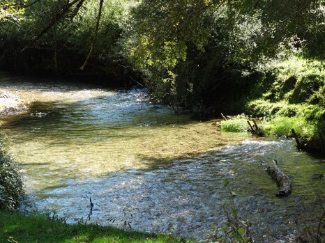 14520355_681274385382791_5408321553756963985_n 14520355_681274385382791_5408321553756963985_n